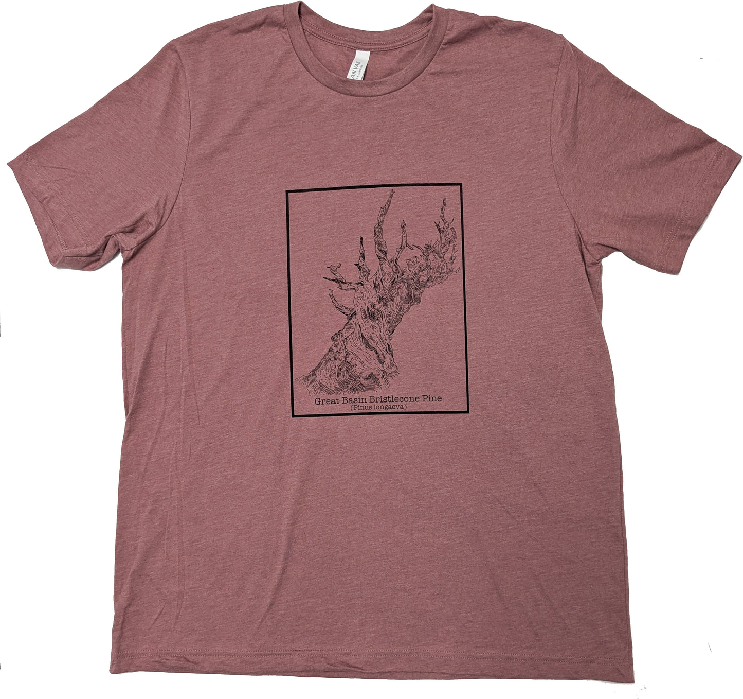 Bristlecone Pine T-shirt