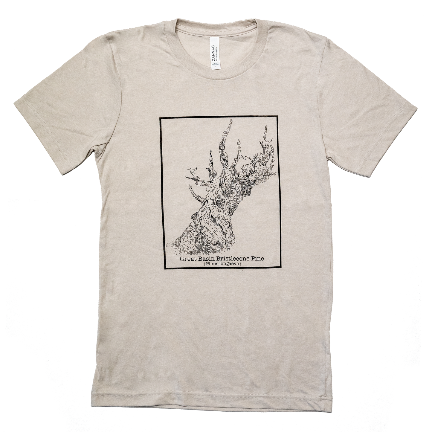 Bristlecone Pine T-shirt